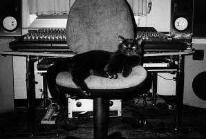 Uwe's Katze Otto - im Studio